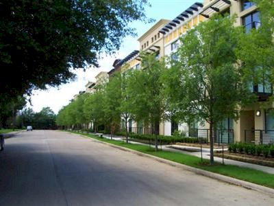 Oak Lawn Condos For Sale. There are many selections for Sale or For Rent.