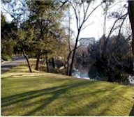 Enjoy the Serenity and Upscale Lifestyle on Turtle Creek